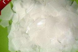 烧碱现货最新爆料,价格波动与供需分析